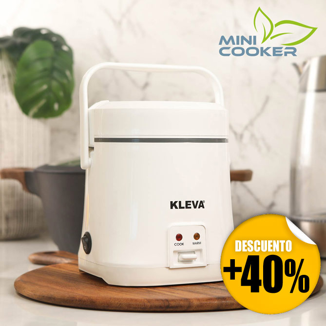 Mini Cooker