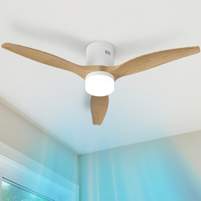 Ventilador con luz BRISANOVA OPEN: Ventilador de techo con aspas y luz